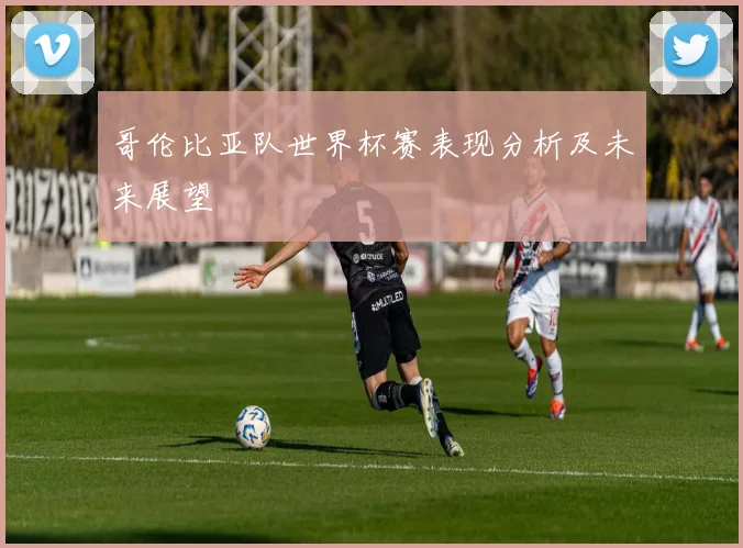 哥伦比亚队世界杯赛表现分析及未来展望