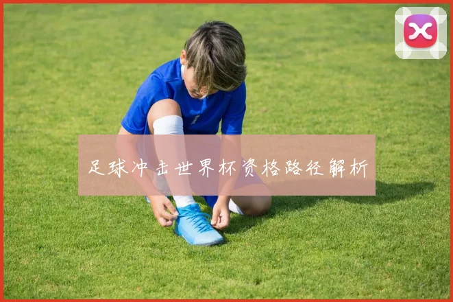 足球冲击世界杯资格路径解析