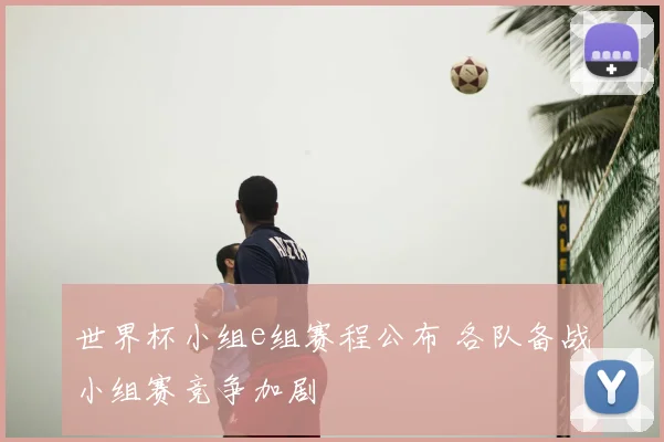 世界杯小组e组赛程公布 各队备战小组赛竞争加剧