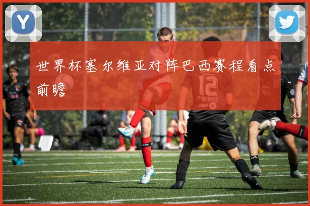 世界杯塞尔维亚对阵巴西赛程看点前瞻