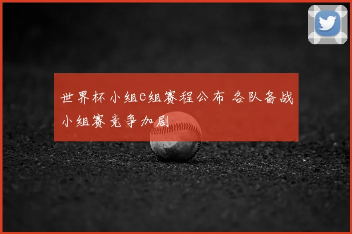 世界杯小组e组赛程公布 各队备战小组赛竞争加剧